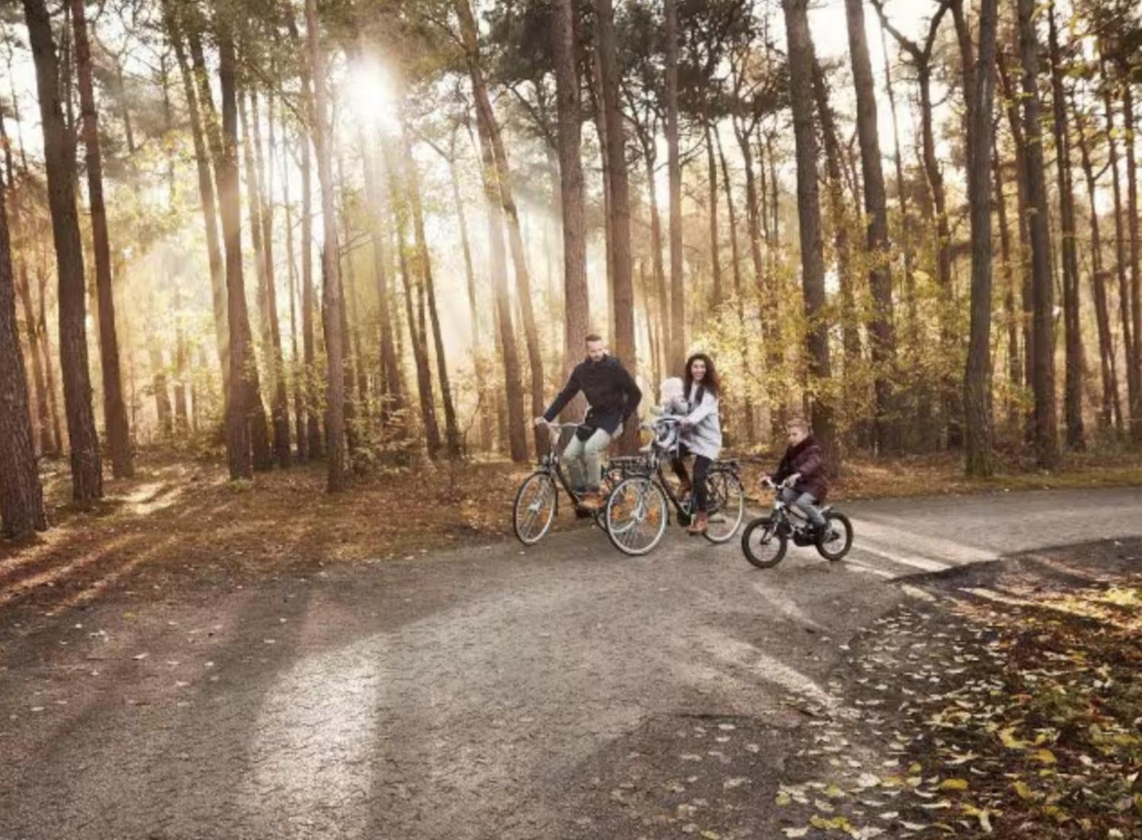 Glamping Lodge With Eco-Wellness Zeewolde Esterno foto